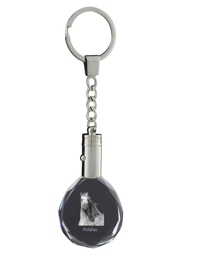 Pintabian - Pendant with a Picture of a Horse, Crystal Key Ring In a Gift Box, Unique Gift by Art-Dog Brand