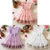 Girl Summer Princess Dress With Butterfly Mesh Fabric For Toddler Birthday Party