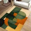 Retro Curve Abstract Area Rug Orange Blue Mid Century Modern Carpet Colorful Geometric Floor Decor Washable Living Room Rugs