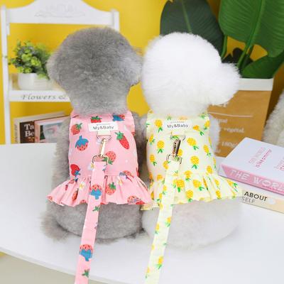Весна/лето 2023 Одежда для домашних животных Юбка для собак Teddy Schnauzer Маленькая юбка с фруктами для собак (исключая веревку) одежда для домашних животных, одежда для кошек