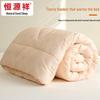 Hengyuanxiang Antibacterial Brushed All-Season Quilt