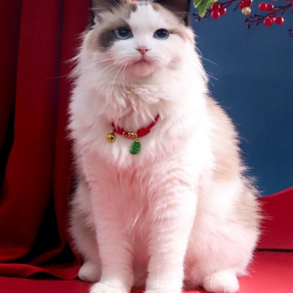 Adjustable Braided Cat Collar Chinese Style Puppy Collar Creative Pet Bell Necklace Photo Props