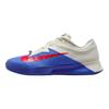 Court Air Zoom Vapor Pro 3 Premium HC Deep Night Light Crimson Мужские кроссовки Синий Бледно-слоновая кость Металлик-серебристый HJ6774-500