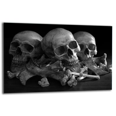 GLASS PROTECTIVE PLATE FOR STOVE 80x52 SKULL