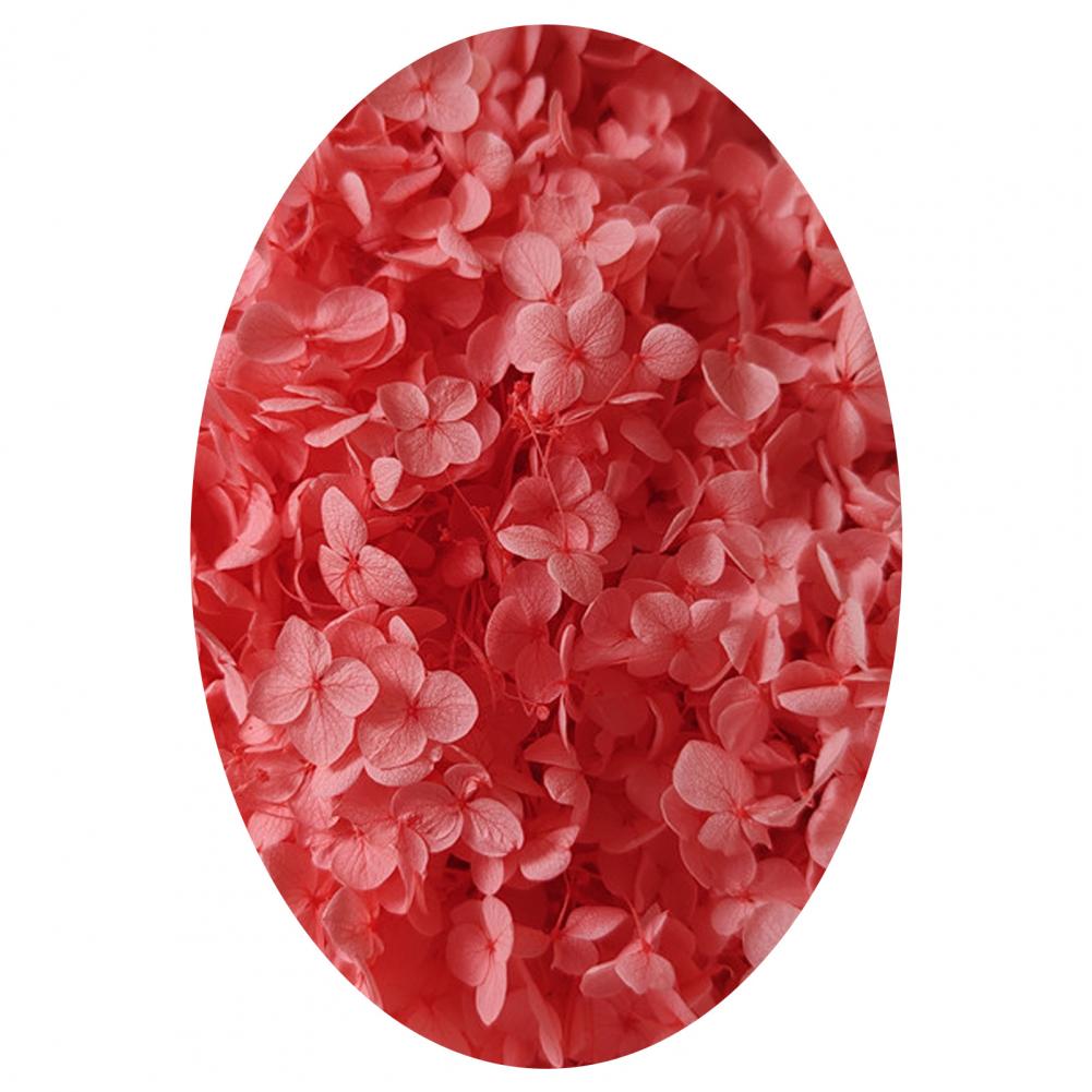 1 коробка цветных сухоцветов натуральные реалистичные головки гортензии своими руками натуральные свежие стабилизированные цветы гортензия свадебные сувениры