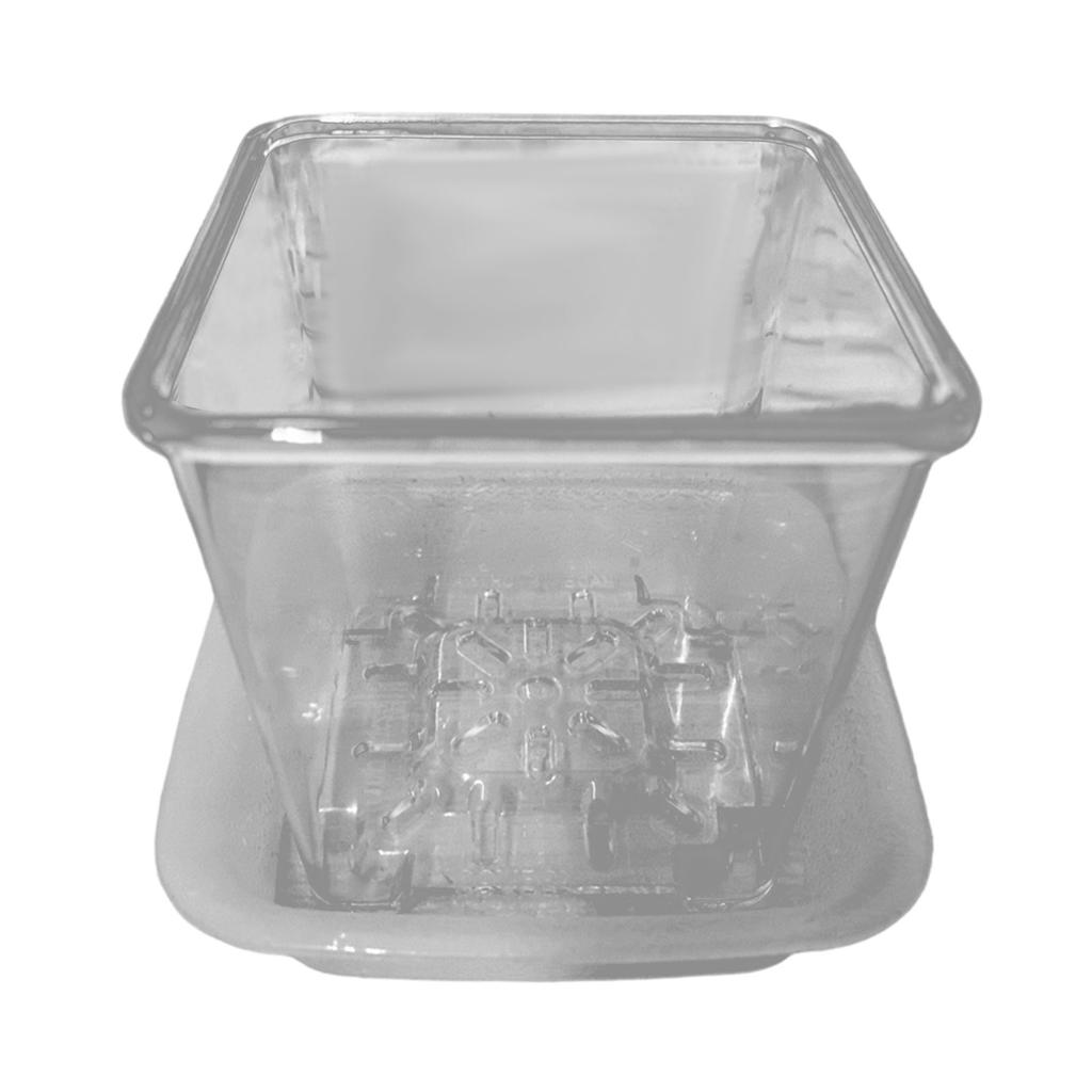 Phalaenopsis special transparent root-viewing plastic simple flower pot square breathable suitable for living room indoor window sill