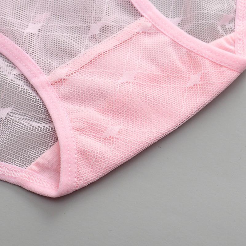 Sexy Net Yarn Panties Women Low Waist Transparent Briefs K142