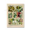 Adolphe Millot Encyclopedia Poster Fruit Botanical Mushrooms Herbs Flowers Canvas Paintings Print Vintage Wall Art Room Decor