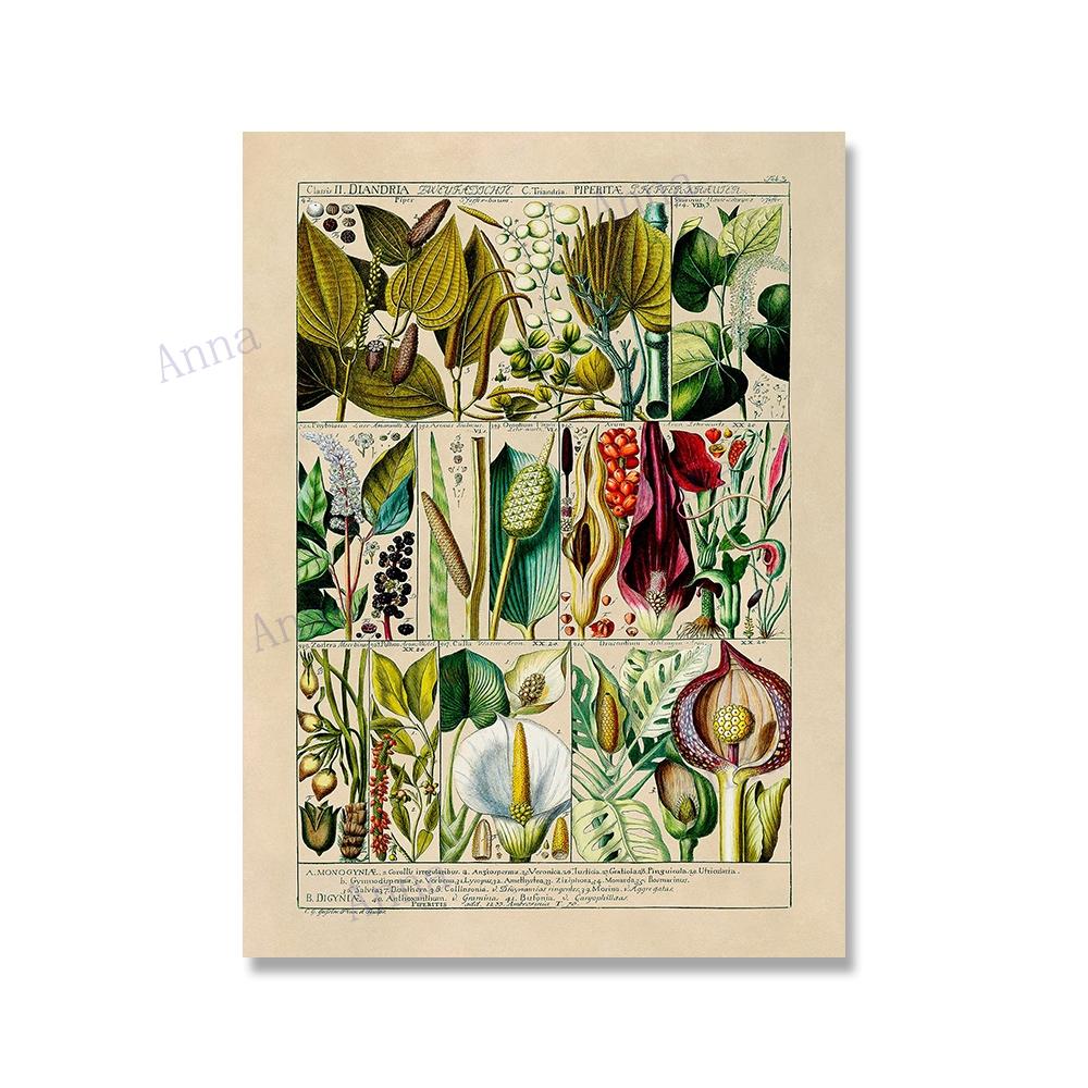 Adolphe Millot Encyclopedia Poster Fruit Botanical Mushrooms Herbs Flowers Canvas Paintings Print Vintage Wall Art Room Decor