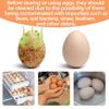 Egg cleansing brush 2pcs extra large version