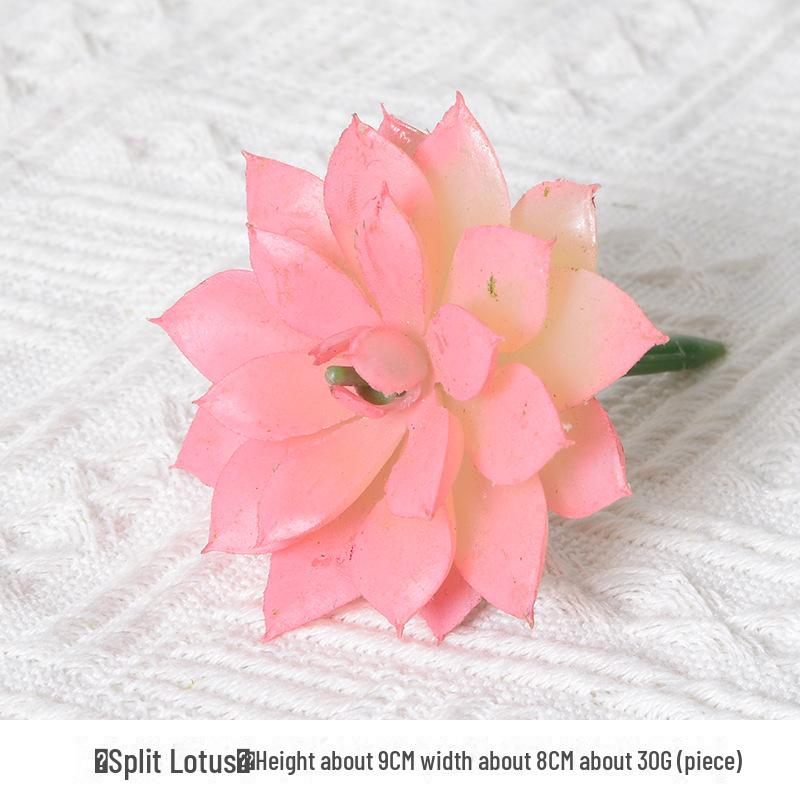 Mini Flocking Artificial Succulent Bonsai for DIY Wall Decor
