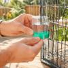 2 Pcs Automatic Feeding Bird Water Dispenser Dispenser Design Bird Seed Food Container  For Parakeet