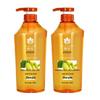 Fenghua Ginger & Hops Hair Strengthening Shampoo
