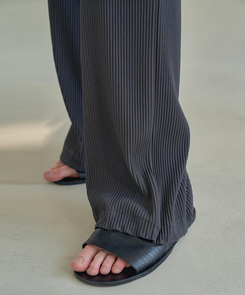 TRIP LE SENS Pleated Wide Silhouette Pants_3 Color