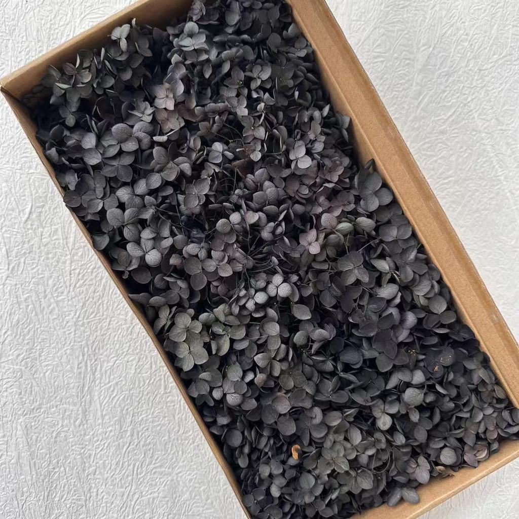 Eternal Hydrangea Dried Petals - Craft, Decor, Gift Accessory