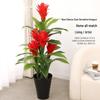 Oushoomai 50cm Artificial Guzmania Plant with Pot