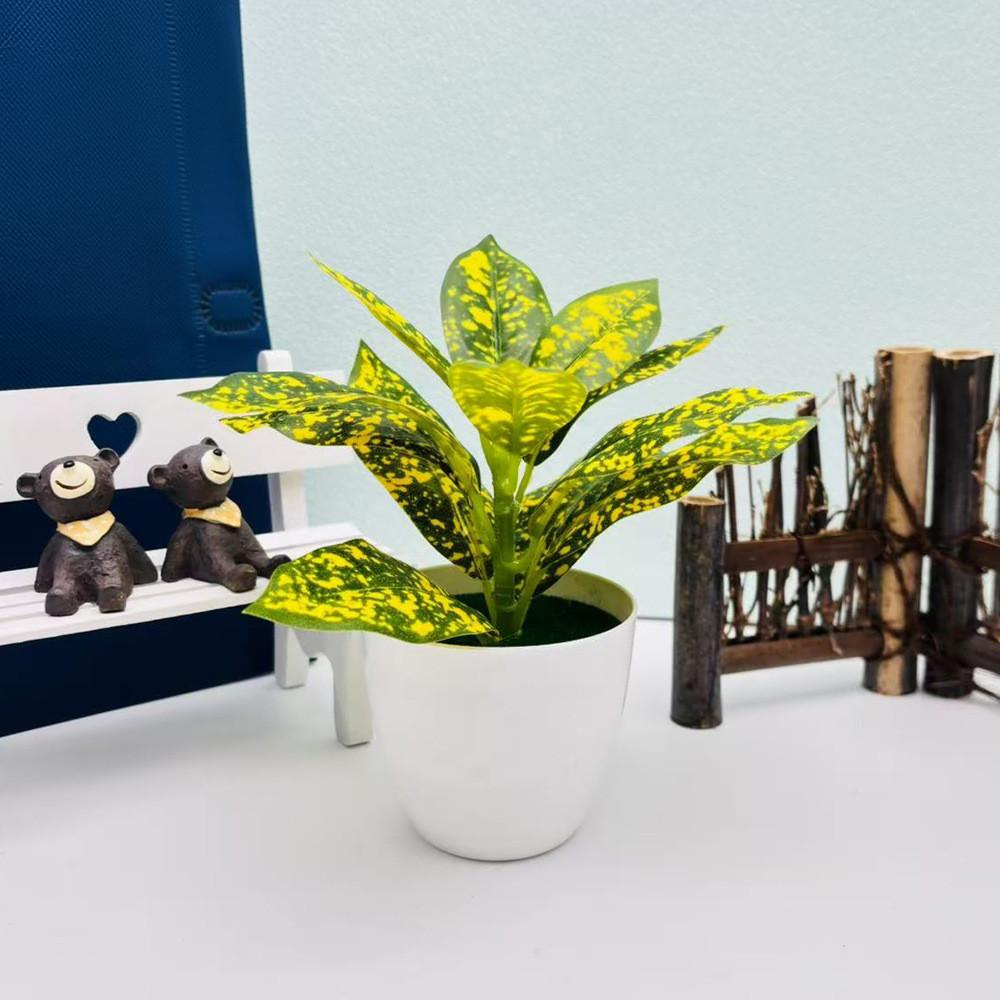 Эпипремнум Золотистый Фиттония Альбивенис Растение в горшке для домашнего декора Настольные акценты