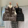 МОДА Двусторонний жилет на пуху 2024 года, зима, новая корейская версия, свободный утолщенный воротник-стойка, белый жилет на утином пуху, модная одежда