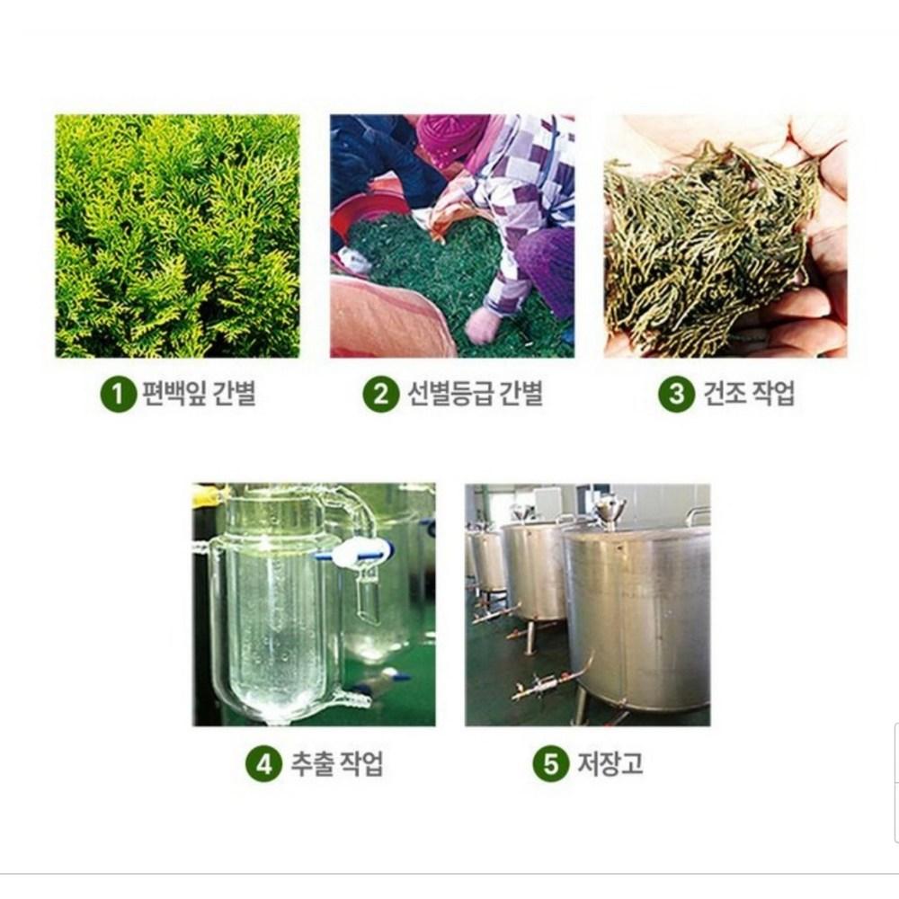 [Odd Lab Bio] 100% натуральное масло кипариса 25 мл + бесплатный подарок: 10 упаковок коллагеновых масок-эссенций, 25 мл, 4 шт.