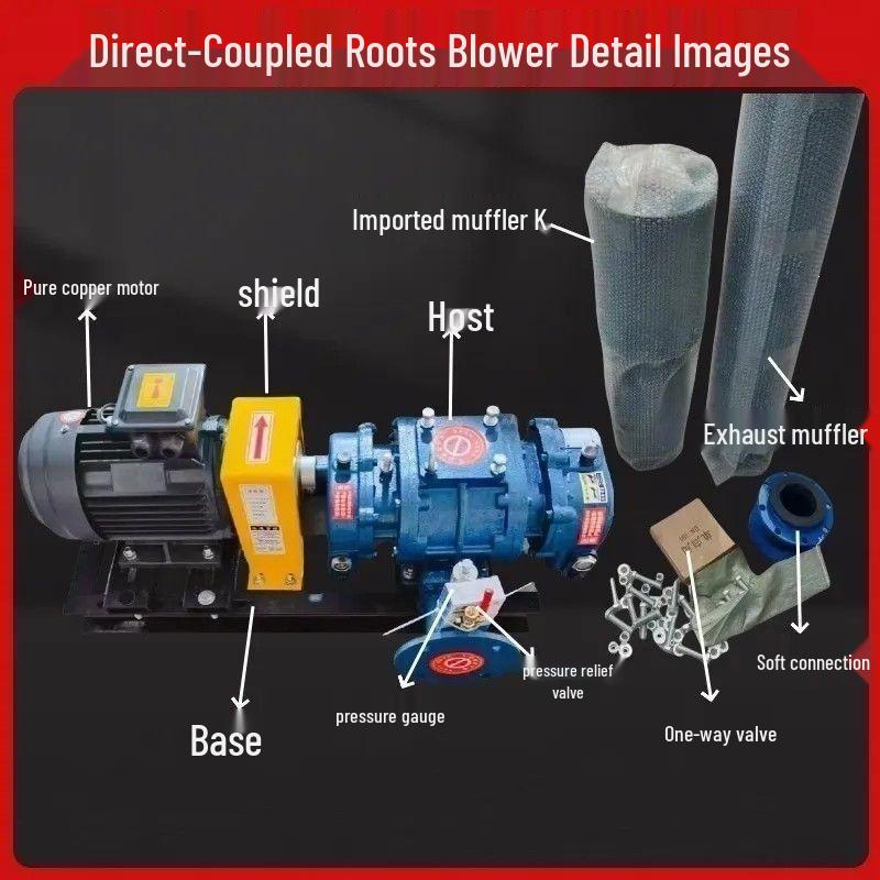 Three-Leaf Direct-Coupled Variable Frequency Blower for Aquaculture 380V