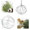 Pet Supplies Suspendable Stainless Steel Plated Hays Rack Ball Feed Dispenser Hanging Ball Toy Guinea Pig Hamster Rat Rabbit
