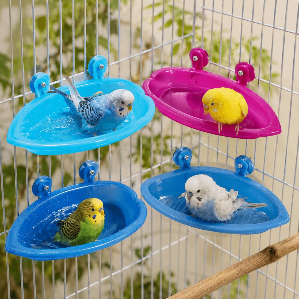 Swimming Pool Bird Bath Shower Durable Bird Drinking Bowl Parrot Shower Bird Feeding Bool Pet Toys