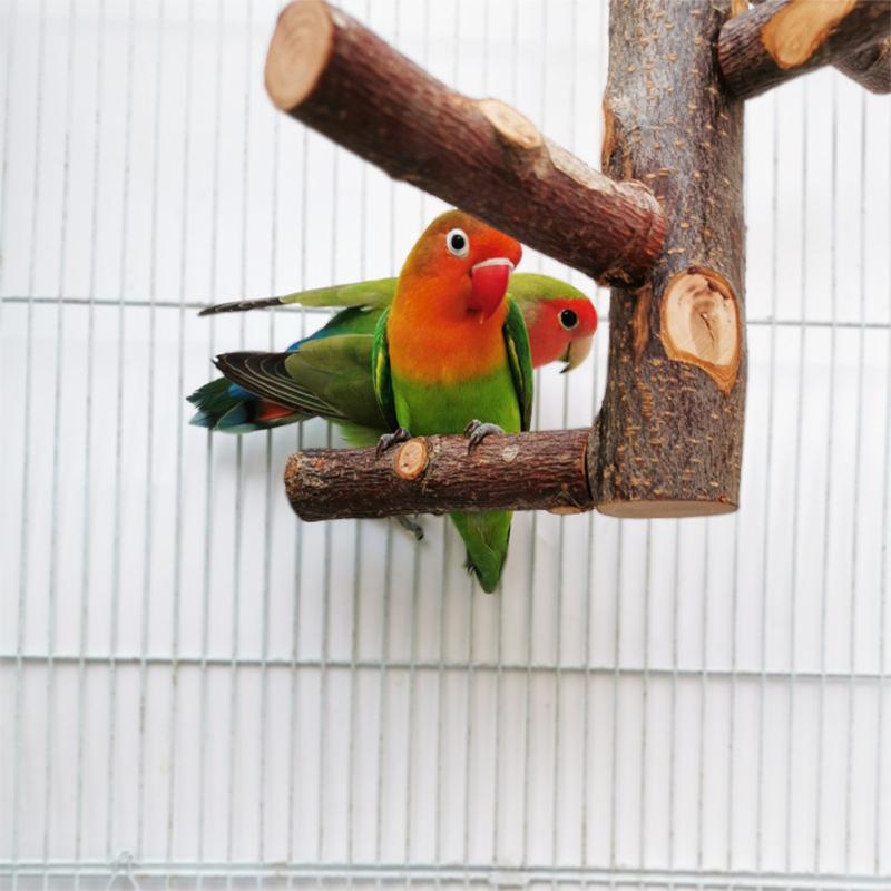 Подставка для попугая из цельного дерева, подставка для палки, кусающая молярный коготь, шлифовальная игрушка, принадлежности для клеток для птиц