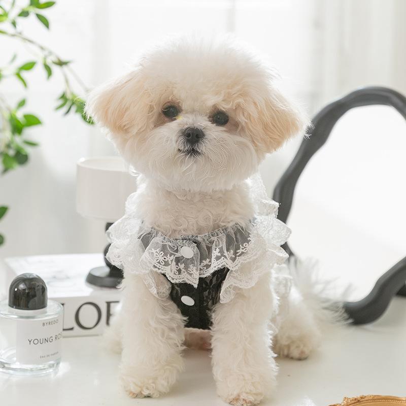 Spring Summer Dog Sexy Black and White Lace Traction Vest Medium and Small Dog Cat Teddy Pet Dog Clothes