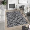 Washable Printed Carpet LNA032-FNL296