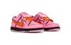 Nike SB Dunk Low Сила Икс Блоссом TD FZ3352-600