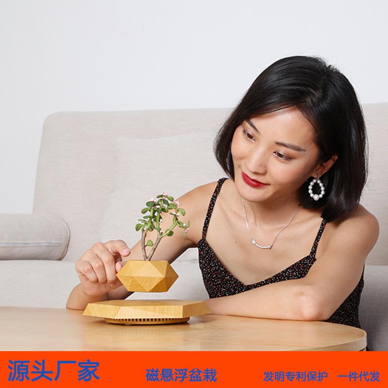Creative Magnetic Levitation Potted Bonsai Plants