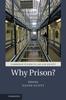 Книга Why Prison by Scott, David - Hardback