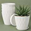 6.3 Inch Flower Pots for Home Decoration, Indoor Plant Pots, Gardening Pots for Plants, Plastic Flower Pots for Garden Plants (White) (Set of 5 POTS)