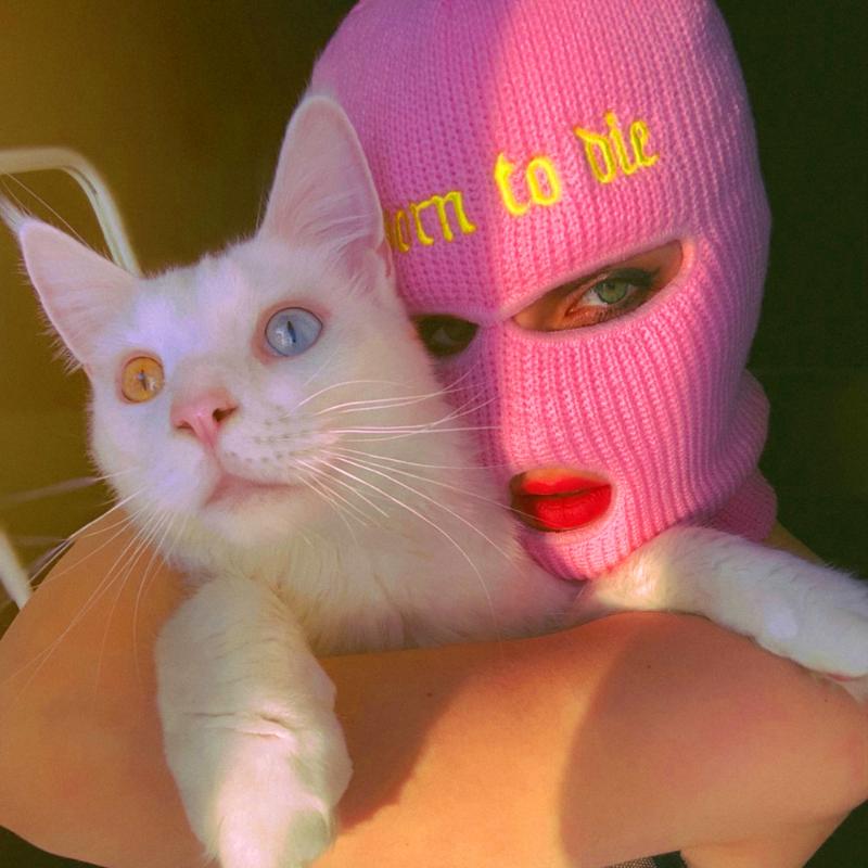 Новая модная вышитая вязаная лыжная маска, зимняя шапка-балаклава, 3-дырочная вязаная полнолицевая крышка, лыжная гетра, теплая вязаная шапочка, идеальный выбор для подарков