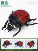 Simulation Of Wild Animals Large Insect Model Children's Early Education Animal Toys