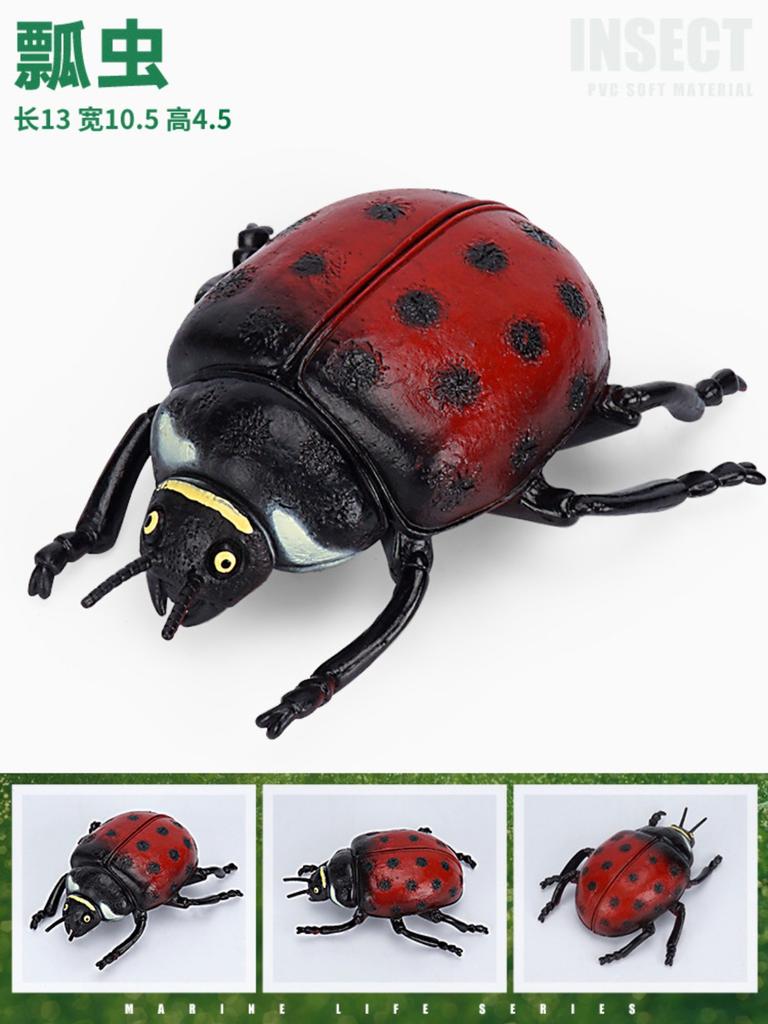 Simulation Of Wild Animals Large Insect Model Children's Early Education Animal Toys