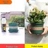 includes tray + (1 fertilizer + 1 rooting powder pack)