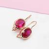 Серьги-пусеты с инкрустацией Красным камнем (Редстоун) Покрытие Розовым золотом Легкая Роскошь Модный Дизайн с Индивидуальностью