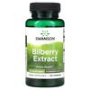 Bilberry Extract, 60Mg, 120 Capsules