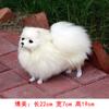 Realistic Pomeranian Simulation Toy Dog Puppy Lifelike Companion Toy Handcrafted Drop Dog Pet Toys Simulation Stuffed Shipp G7D7