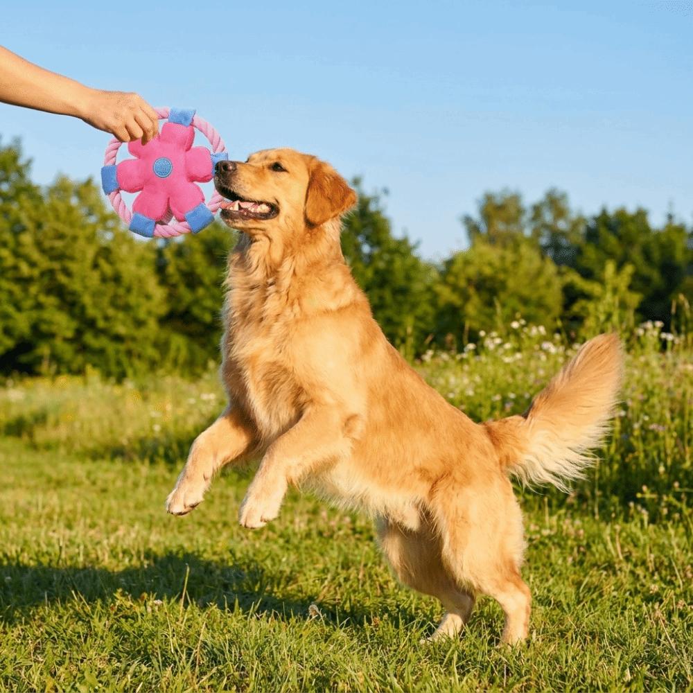 Cotton Rope Dog Chew Toy Squeaky Rope Dog Toy Teeth Grinding Dog Flying Disc Teeth Cleaning