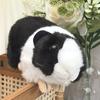 Cute Mini Dutch Pig Plush Toy Soft Stuffed Animal Lifelike Guinea Pig Doll Children's Gift for Christmas Birthdays