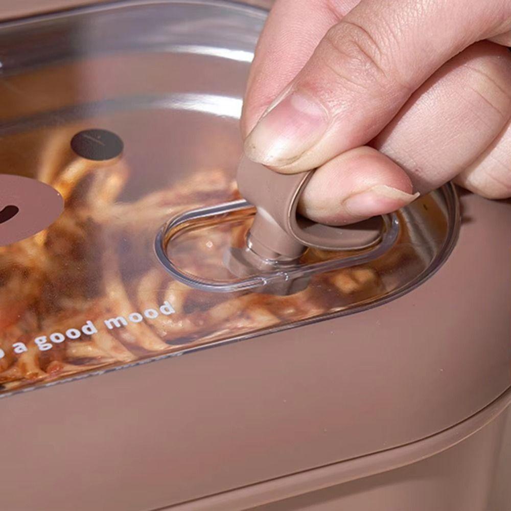 Microwaveable Insulated Lunch Box Little Bear 2 Compartment Lunch Box  Canteen