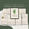 The Herbal Handbook 82 Medicinal Plants Medical Herbalism Guide Herbal Remedies And Recipes Dispensatory