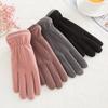 Warm Women's Winter Windproof Plush Thickened Riding and Driving Gloves De Velvet Windproof Outdoor Gloves