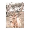 Landscape Beige Wall Art Canvas Painting Grassland Animal Poster Tiger Cow Deer Print Nordic Wall Pictures for Living Room Decor