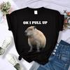 Cute Capybara Clothing T-Shirt Women Vintage Cartoon T Shirt Female Casual Anime Top Tees T Shirt Manga Women Graphic Tee Tops