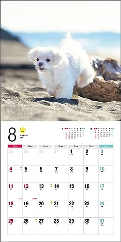 Календарь 2024 Мальтийский (Календарь Seibundo Shinkosha)