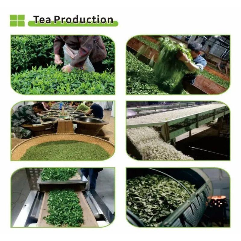 500 г знаменитого бренда Лао Тун Чжи, спелый чай «Глубокая гора, старое дерево, Мэнхай Пуэр»