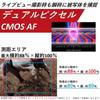 Canon Цифровая зеркальная фотокамера EOS 90D body EOS90D